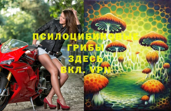 PSILOCYBIN Белоозёрский