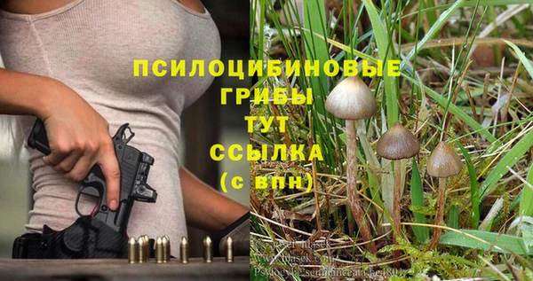 сатива Семёнов