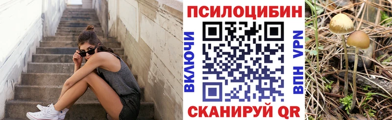 hydra как войти  Бузулук  Псилоцибиновые грибы GOLDEN TEACHER  купить наркоту 